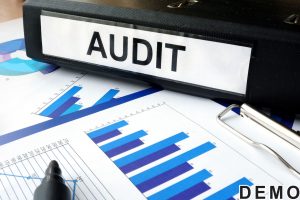 Audit Services