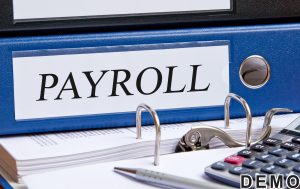 Payroll Services